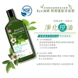 【AVALON ORGANICS】茶樹頭皮調理精油洗髮精(946ml/32oz)