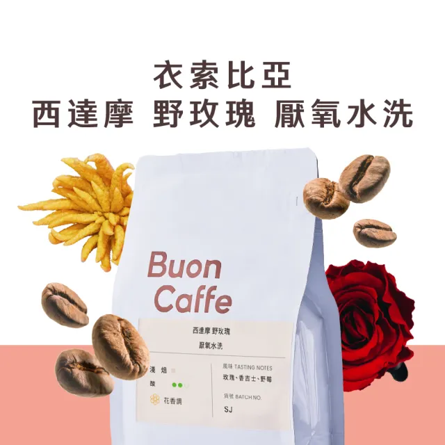 【Buon Caffe 步昂咖啡】衣索比亞 西達摩 野玫瑰 厭氧水洗 淺焙 花香調 精品咖啡豆(半磅227g/袋；新鮮烘焙)