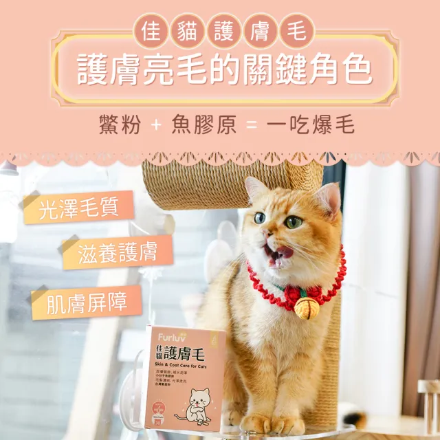 【Furluv 樂球】佳貓護膚毛 2盒組(貓咪皮毛養護/幫助貓毛髮濃密/皮膚保水/鱉蛋/魚膠原)