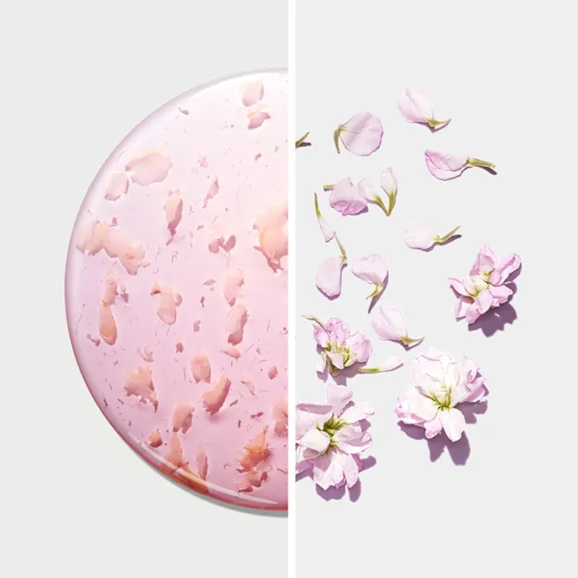 【Kustie蔻斯汀】櫻花花瓣沐浴露 500ml(全球首創真花瓣沐浴)