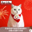 【Pet Life】針織毛線可愛造型寵物圍巾 白龍x紅圍巾/紅龍x黃圍巾 M