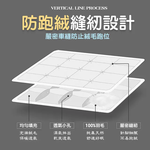 【QIDINA】MIT-100%水鳥羽絨棉被SUD-A(冬天棉被 冬被 厚棉被 被子 雙人棉被 飯店棉被)