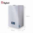 【Dyhot東湧】即熱式燃氣熱水器 一級能效 強排 FEGT20BDP(LPG/FE式 下出水 基本安裝)