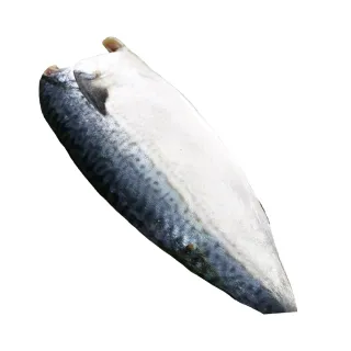 【上野物產批發館】台灣產 宜蘭薄鹽鯖魚片(150g±10%/片)