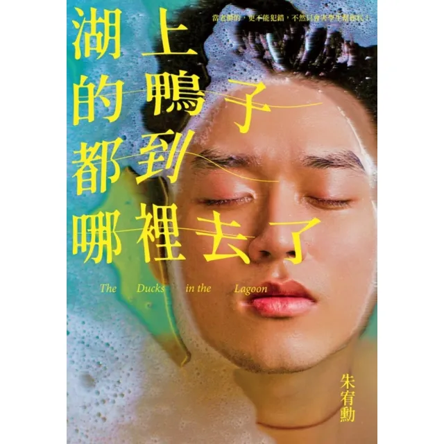 【MyBook】湖上的鴨子都到哪裡去了(電子書)