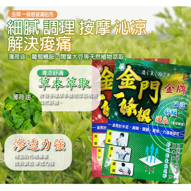 【金牌一條根】加大版-金門一條根精油貼布-1包組(10片/包 酸痛貼布/冰涼貼布/溫熱貼布/跌打損傷貼片)