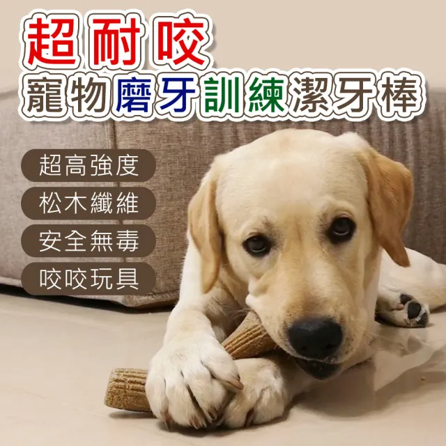【AFAMIC 艾法】2入組-超耐咬寵物磨牙訓練安全無毒咬咬玩具潔牙棒(潔牙骨 狗零食 寵物玩具)