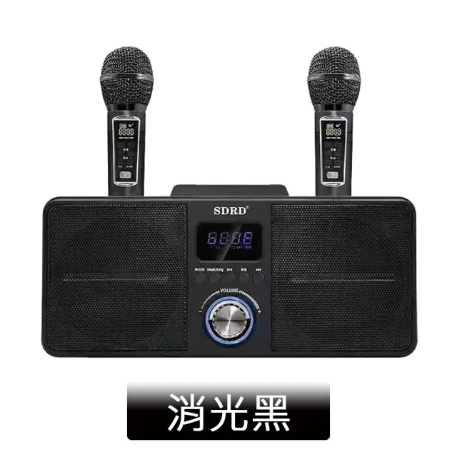 【DYD】SD309攜帶式藍牙音箱 贈行動電源+防噴套+充電頭(家庭KTV 無線藍牙音響)