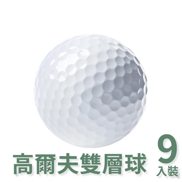 HONMA 本間高爾夫 GOLF BALL NEW D1 兩