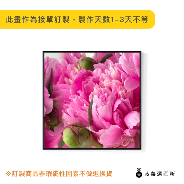 菠蘿選畫所 古典牡丹-60x60cm(招福吉祥花卉掛畫/花卉