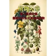 【MyBook】植物天堂：從人蔘到玫瑰，盤點世界各式各樣的植物(電子書)