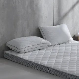 【Darphia 朵法亞】超值兩入組-可水洗獨立筒枕(臺灣製造/45顆獨立筒/水洗枕)