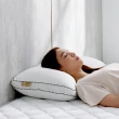 【Darphia 朵法亞】超值兩入組-銀粒子棉眠枕 可水洗獨立筒枕2.0 贈洗衣袋(臺灣製造/抗菌防蟎/尺寸精準)