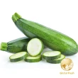 【盛花園蔬果】台南新化綠櫛瓜1kg x1袋(可生食_做沙拉)