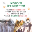 【BUBUPETTO】貓咪餐碗清潔用次氯酸水濕紙巾24片x6盒(貓 寵物 餐具)
