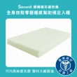 【sonmil】日本銀纖防水95%高純度乳膠床墊5尺10cm雙人床墊 3M吸濕排汗防蹣(頂級先進醫材大廠)