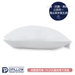 【DPillow】防蹣午睡枕、隨行枕頭(奈米氧化鋅纖維)
