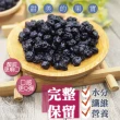 【甜園】無糖野生藍莓 60gx1包(無添加物 天然水果乾 新鮮水果製成 低溫烘焙 保留原味)