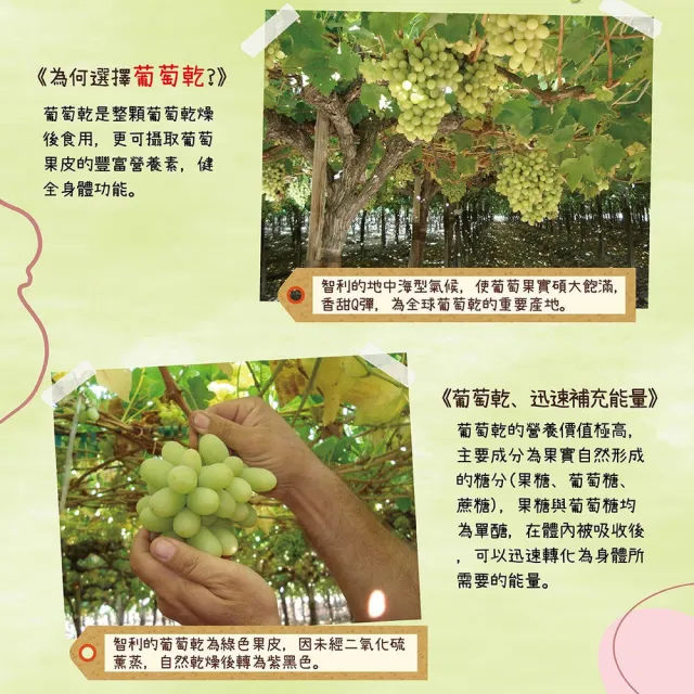【統一生機】果然優葡萄乾400gx3罐