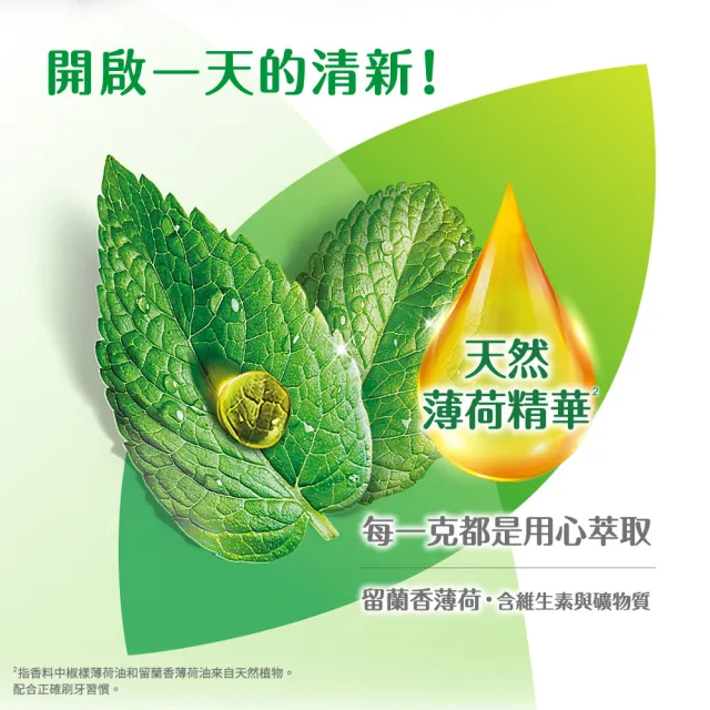 【DARLIE 好來】超氟強化琺瑯質牙膏175g(防蛀/強健牙齒)