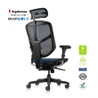 【ERGOHUMAN】ENJOY企業2.0 腰枕彈力可調 舒適再升級 W0918藍 黑腳(人體工學椅 辦公椅 全網椅 美國網)