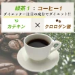 【日本fine japan】綠茶咖啡速孅飲-30包/盒x3(日本境內版 平行輸入)