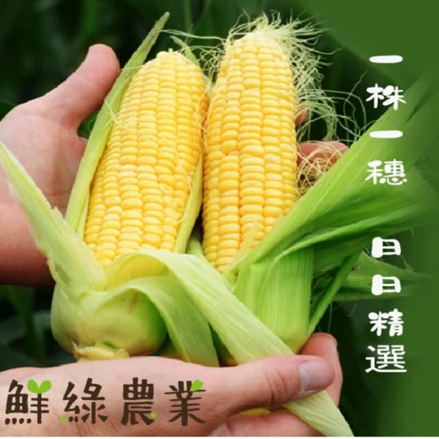 鮮綠農業 雲林黃金甜玉米-10斤/箱(產地直送) 推薦
