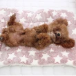 【QIDINA】寵物加厚法蘭絨保暖寵物墊L/XL 2入(寵物睡墊 寵物窩 寵物毯 寵物睡窩 貓咪床)