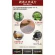 【ROYAL LIFE 皇室生活】老北京草本配方足貼-200貼(艾草足貼/艾草貼/暖腳貼/足貼/腳部護理貼)