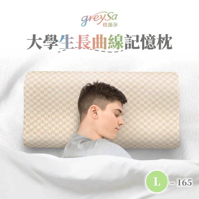HOLA 3M Filtrete防螨可調式記憶枕-側仰舒眠型