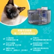 【P&H寵物家】Peile 幸運草 7S 不鏽鋼智能飲水機 寵物自動飲水機(貓咪智能飲水機 自動飲水機)