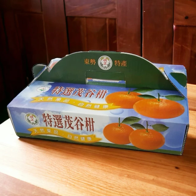 木瓜型農 屏東六堆日陞木瓜3kg x2箱(約6-8顆/箱_產