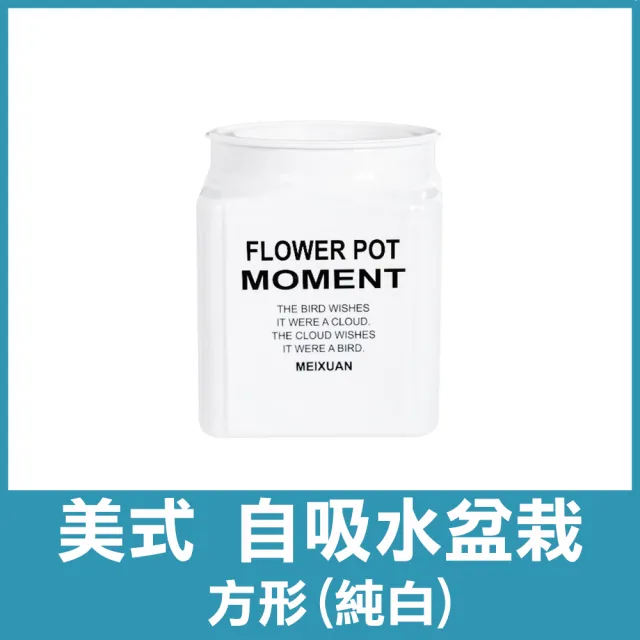 【COLOR ME】自吸水盆栽(方形款 花盆 盆栽 自動吸水盆栽 懶人盆栽 塑膠花盆 水培花盆 水耕盆栽)