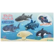 水族館海洋生物筆袋 毛絨鉛筆盒(日本進口 大容量毛絨筆袋 新年禮物 福袋)