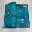 【DK Publishing】Ocean – The Definitive Visual Guide / NEW EDITION