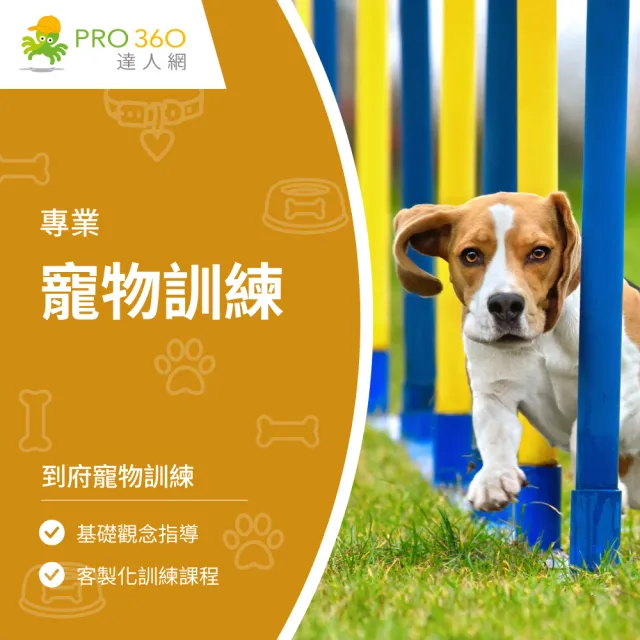 【PRO360達人網】到府寵物訓練-狗狗(狗狗寵物訓練單堂)