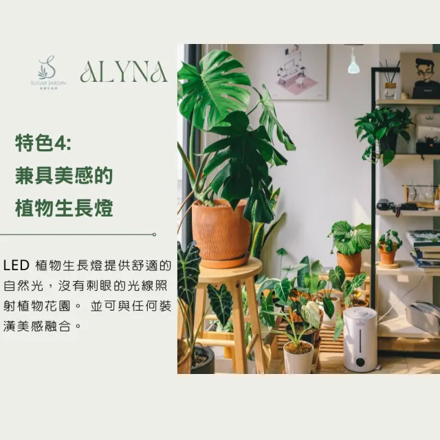 【微糖花植間】ALYNA植物燈30W-軌道燈座組(全光譜植物生長燈/植物軌道燈)