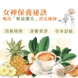 【High Tea】纖美鳳梨瑪黛茶 2.5gx12入/袋(國際ITI得獎茶)