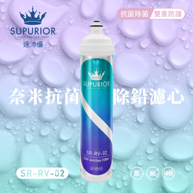 EVERPURE 美國原裝進口濾心(H300NXT 2入裝 