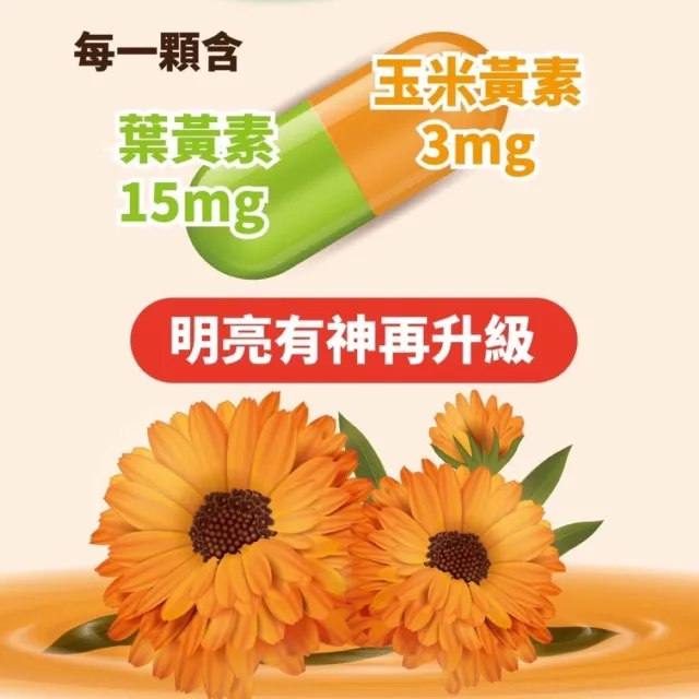 【薑紅軍】金盞花葉黃素晶潤膠囊1盒30粒(葉黃素.玻尿酸.蝦紅素.山桑子萃取.微量礦物質)