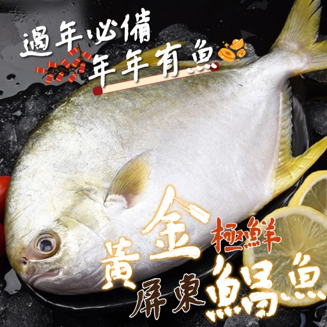 小川漁屋 台灣野生竹筴魚切片10片(100g±10%/片)折