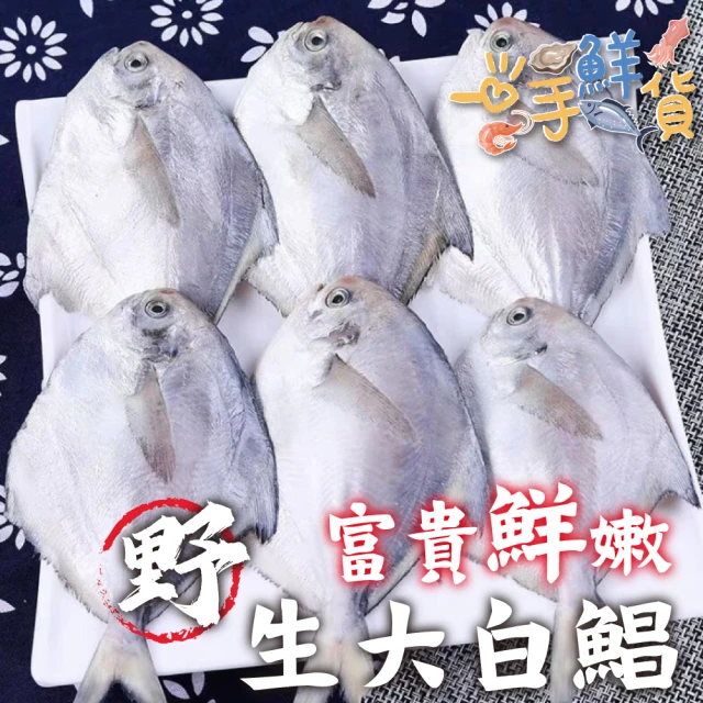 一手鮮貨 野生鮮嫩大白鯧(1尾組/單尾500~600g/真空包裝)