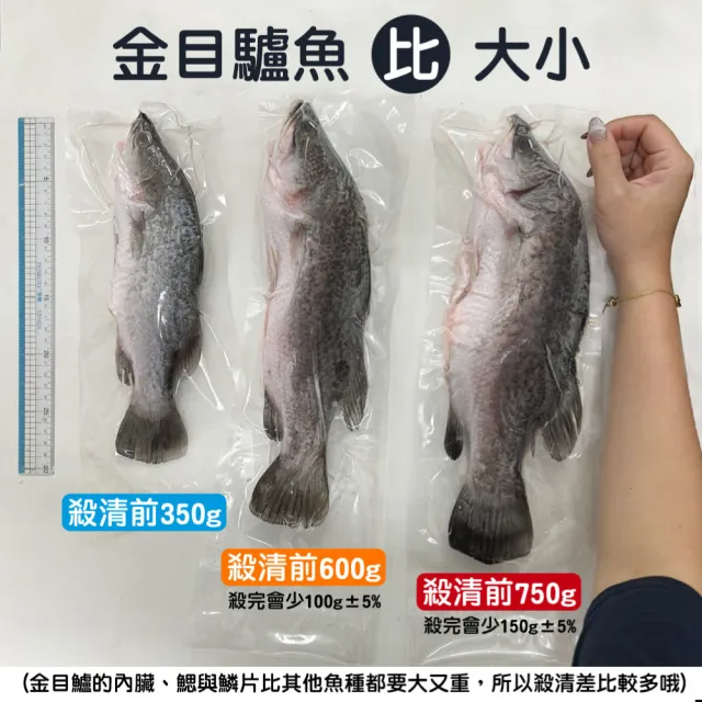 【一手鮮貨】台灣生態養殖金目鱸魚(3尾組/單尾殺清前750g)