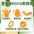 【赫而司】FASLIM-EGCG二代茶多酚膠囊2罐(共180顆;兒茶素EGCG益多酚+甲殼素+決明子+荷葉粉四合一纖美精華)