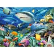 【Ravensburger】維寶拼圖 鯊魚礁 100片