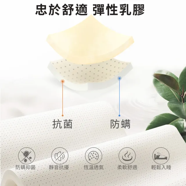 【LooCa】石墨烯EX雙效抗敏乳膠護脊2.4mm獨立筒床墊(雙人5尺)