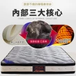 【LooCa】石墨烯+乳膠+護脊2.4mm獨立筒床墊(雙人5尺-送水鳥羽毛枕x2)