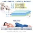 【LooCa】防蹣+乳膠高機能13cm獨立筒床墊-輕量型(雙人5尺-送防蹣枕套x2)