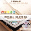 【LooCa】防蹣防蚊4.8雙簧護框硬式獨立筒床墊(加大6尺)