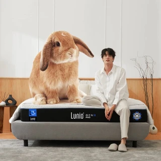 【Lunio】Gen3Pro石墨烯單人3.5尺乳膠床＋枕(6 段人體釋壓 涼感透氣 防蟎又吸震)